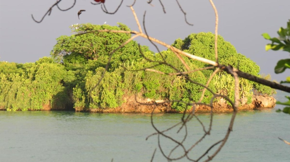 Chapwani Private Island Image 17